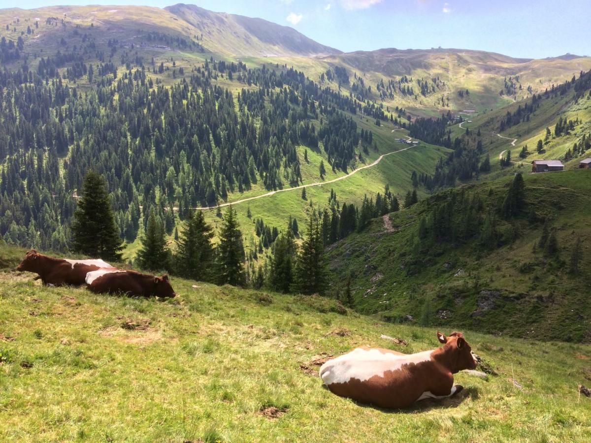 Apartmán Wagnerhaeusl Bramberg am Wildkogel Exteriér fotografie